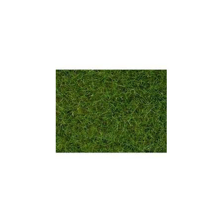 1/87 NOCH HERBES SAUVAGES VERT CLAIR PAQUET DE 50 G